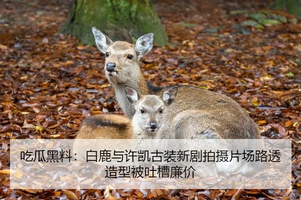 吃瓜黑料：白鹿与许凯古装新剧拍摄片场路透造型被吐槽廉价